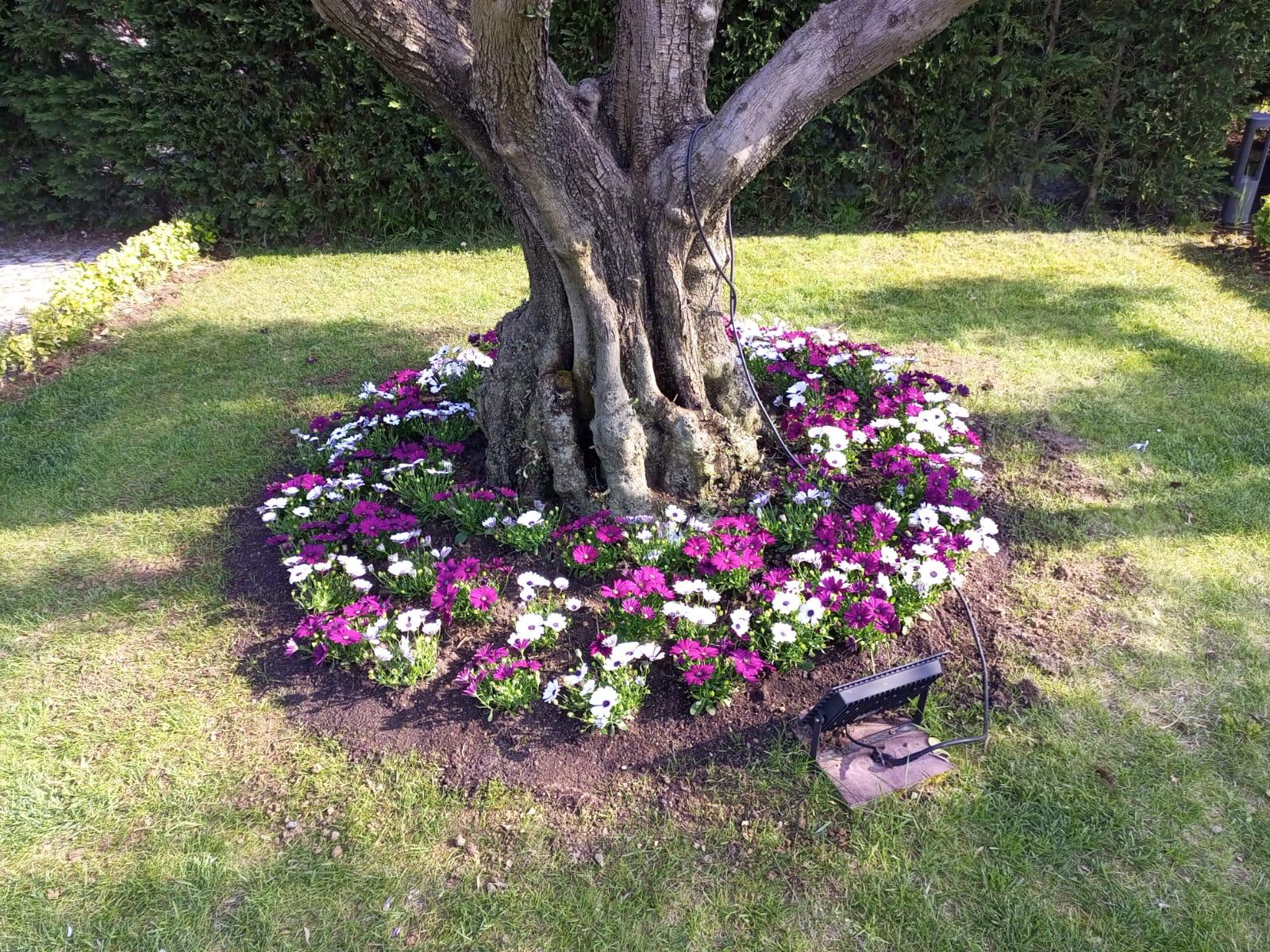 GÜNEŞ TARIM PEYZAJ VE TEMİZLİK